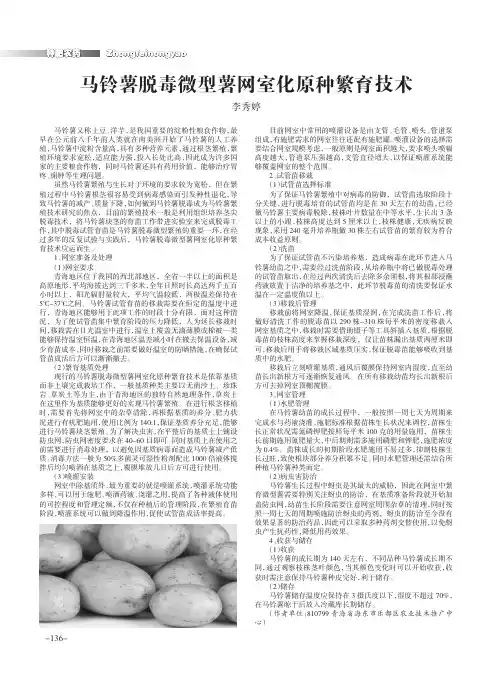 马铃薯脱毒微型薯网室化原种繁育技术