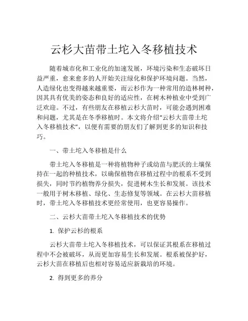云杉大苗带土坨入冬移植技术