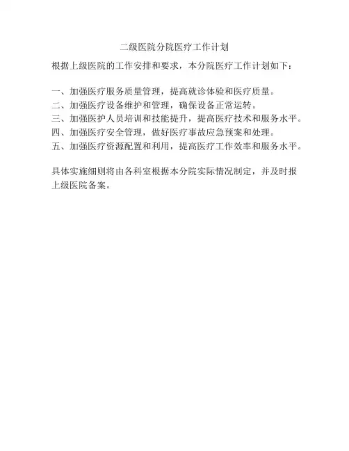 二级医院分院医疗工作计划