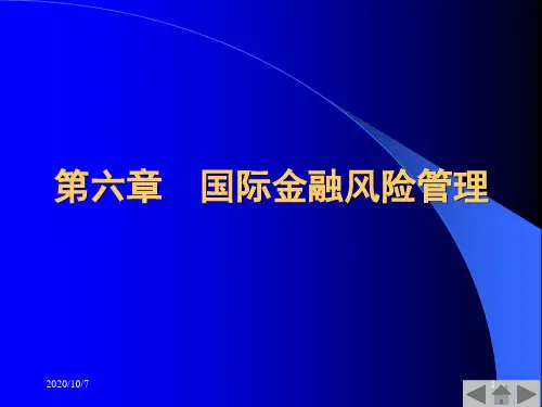 第6章 国际金融风险管理(1).ppt