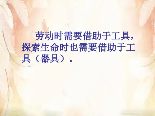 探索生命的器具PPT课件8 苏教版