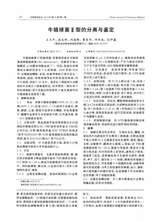 牛链球菌Ⅱ型的分离与鉴定