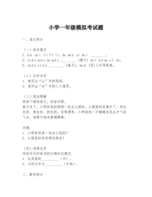 小学一年级模拟考试题