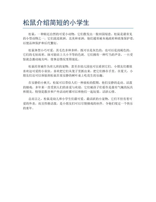 松鼠介绍简短的小学生