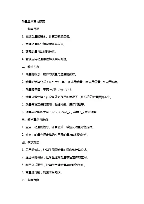 动量全章复习教案