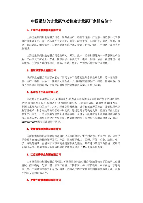中国最好的计量泵气动柱塞计量泵厂家排名前十