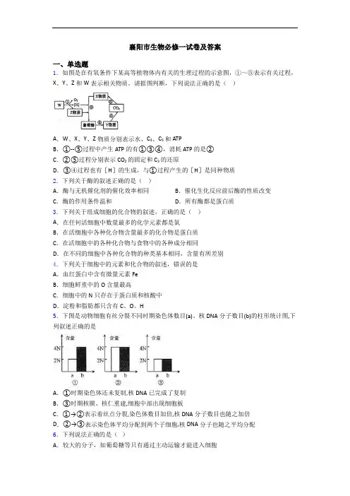 襄阳市生物必修一试卷及答案