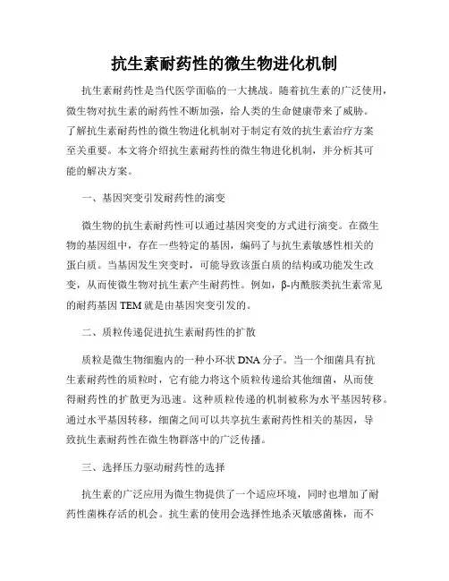 抗生素耐药性的微生物进化机制
