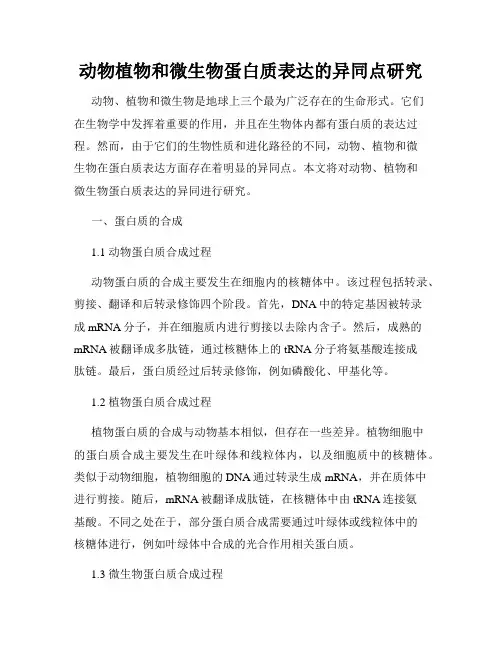动物植物和微生物蛋白质表达的异同点研究