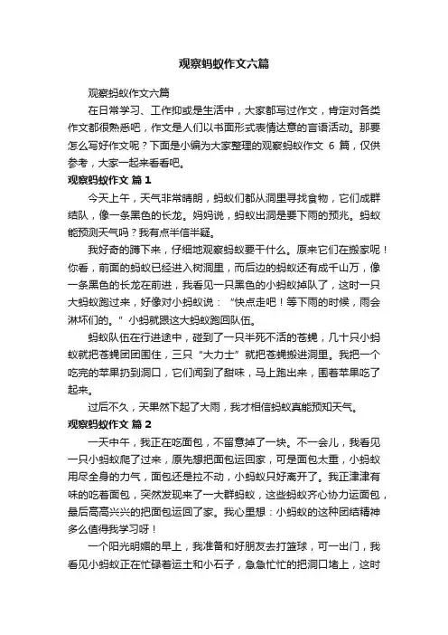 观察蚂蚁作文六篇