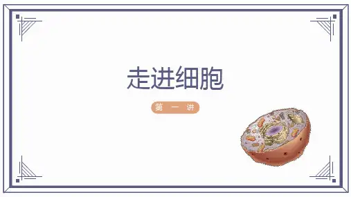 2022届高三一轮复习生物：走近细胞 课件