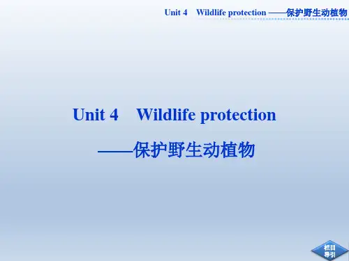 高中英语必修2 Unit4_Wildlife_protection_——保护野生动植物