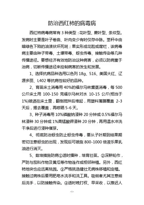 防治西红柿的病毒病