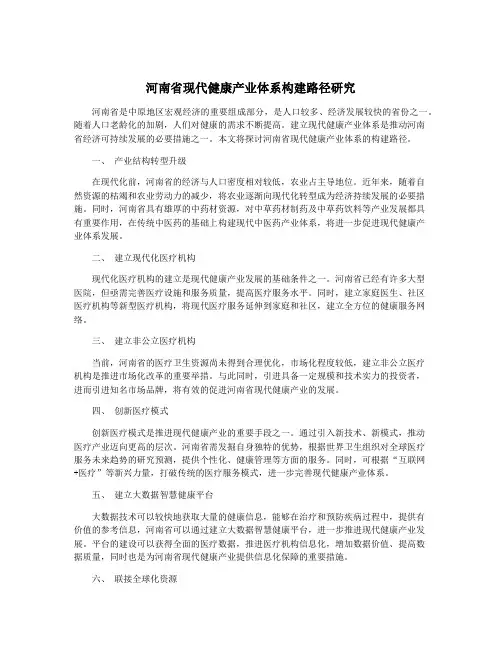 河南省现代健康产业体系构建路径研究