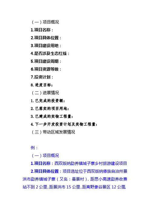 项目详细情况介绍(模版)