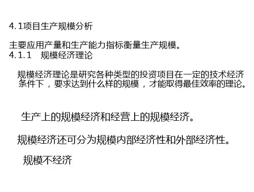 04生产规模的确定全文-工作计划