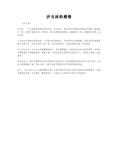 沙与沫的感悟