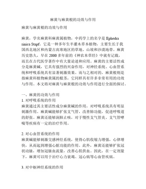 麻黄与麻黄根的功效与作用