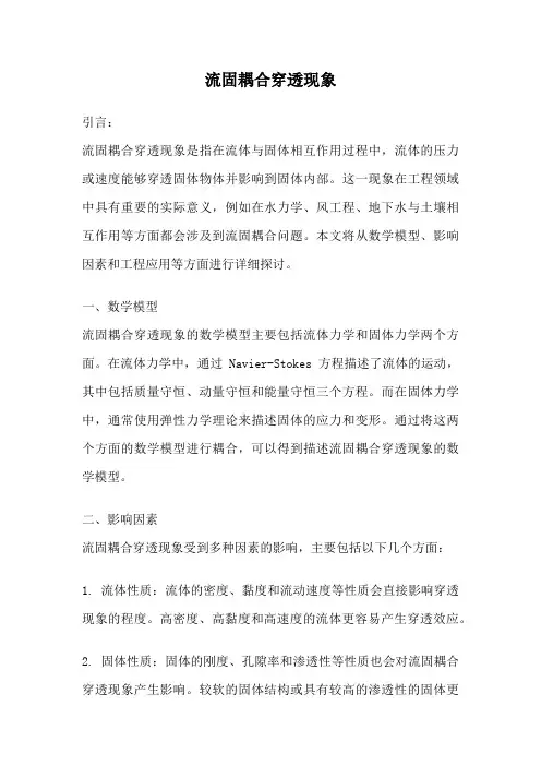 流固耦合穿透现象
