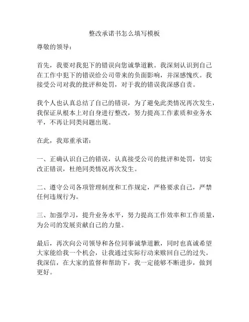整改承诺书怎么填写模板