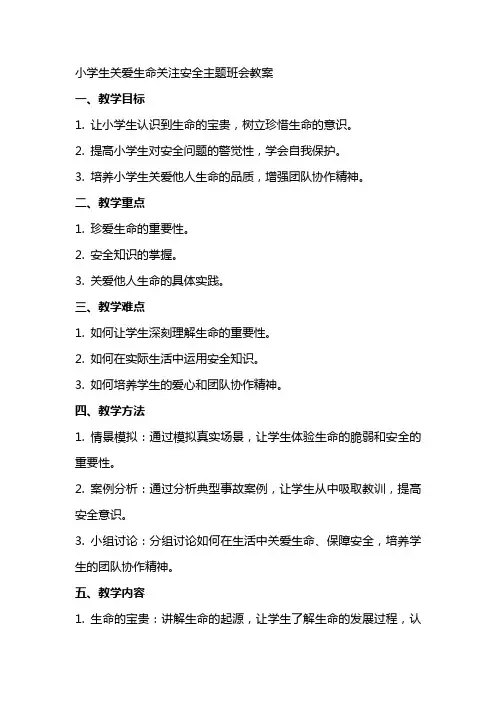 小学生关爱生命关注安全主题班会教案