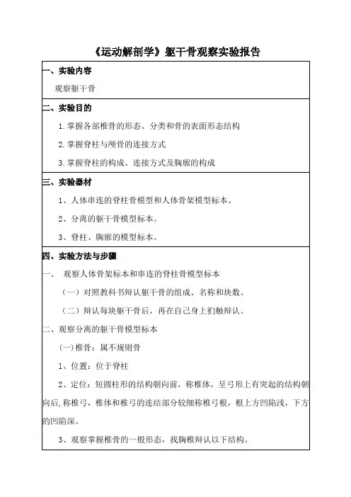 《运动解剖学》躯干骨上肢骨下肢骨观察实验报告