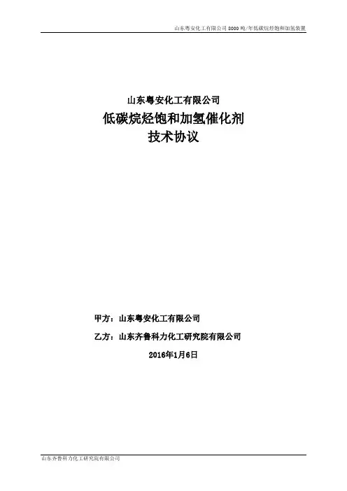 三剂(化学品)技术协议格式规定-菏泽