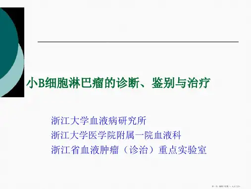 小B细胞淋巴瘤诊断鉴别及治疗
