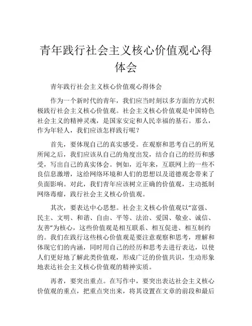 青年践行社会主义核心价值观心得体会