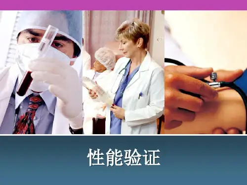 性能验证PPT课件