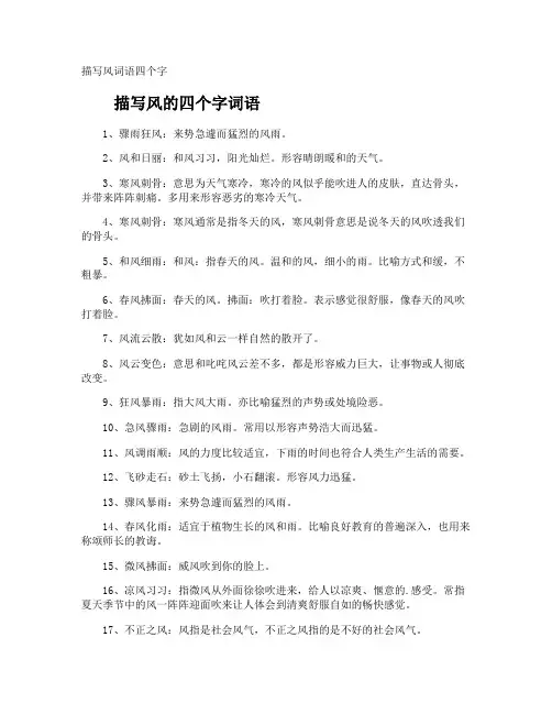 描写风词语四个字
