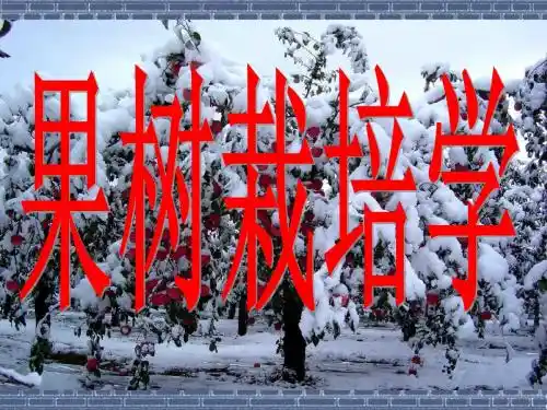 果树栽培学