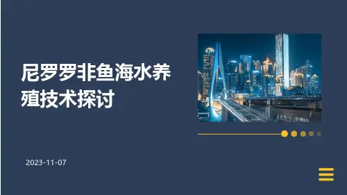 尼罗罗非鱼海水养殖技术探讨