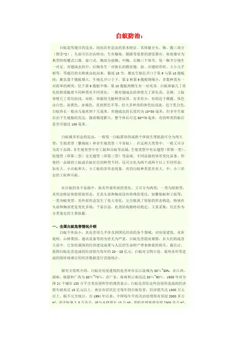 白蚁防治：