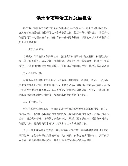 供水专项整治工作总结报告