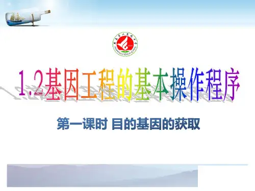 高中生物选修3专题1 基因工程_ 基因工程的基本操作程序 (共27张PPT)[优秀课件][优秀课件]