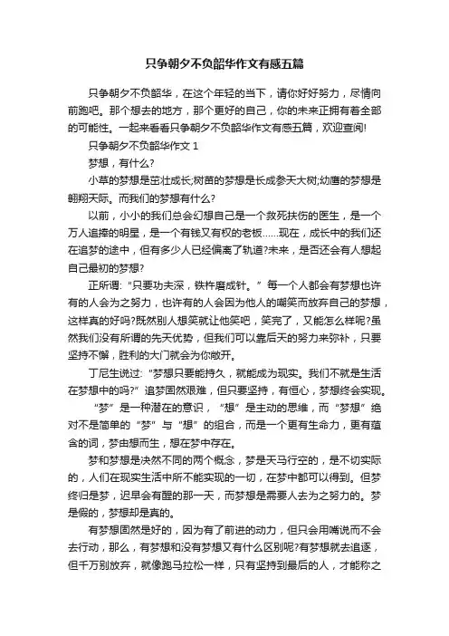 只争朝夕不负韶华作文有感五篇