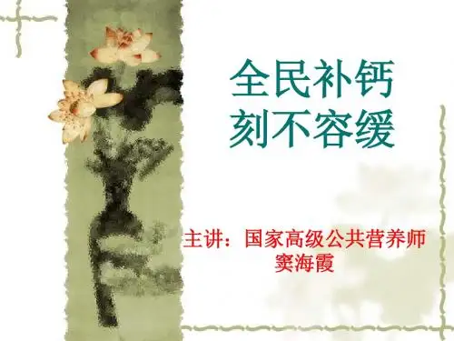钙镁片