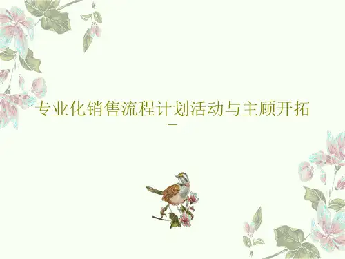 专业化销售流程计划活动与主顾开拓共37页文档