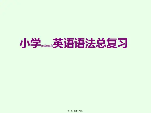 小学英语语法总复习(带练习题)