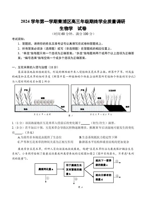 上海市青浦区2025届高三一模 生物试卷(含答案)