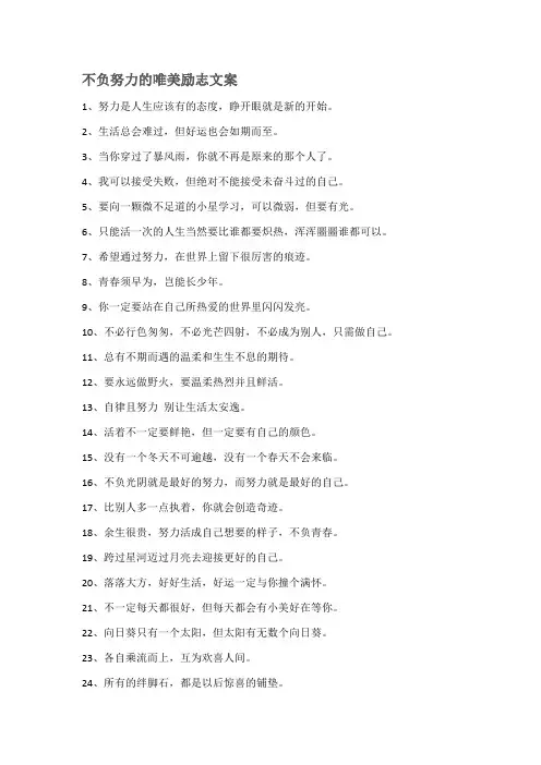 不负努力的唯美句子
