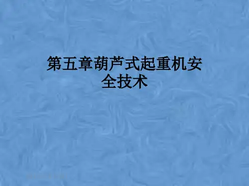 第五章葫芦式起重机安全技术