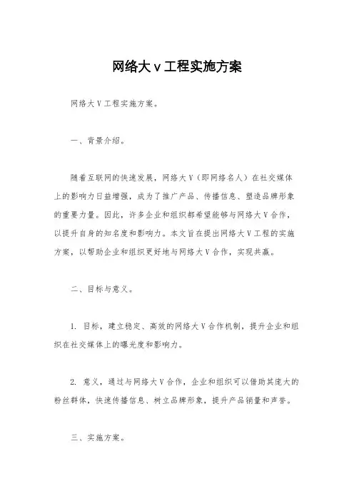 网络大v工程实施方案