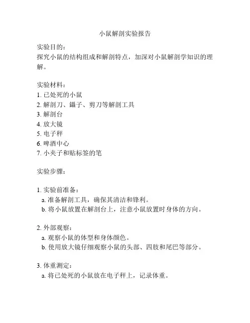 小鼠解剖实验报告