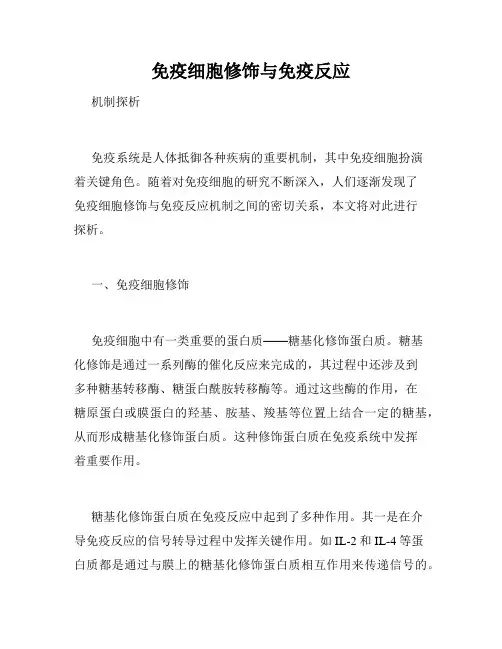 免疫细胞修饰与免疫反应