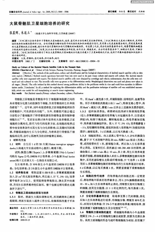 大鼠骨骼肌卫星细胞培养的研究