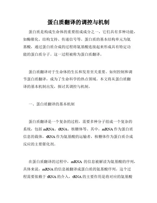 蛋白质翻译的调控与机制