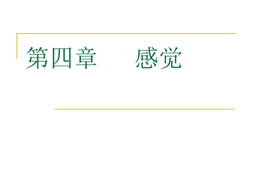 04感觉