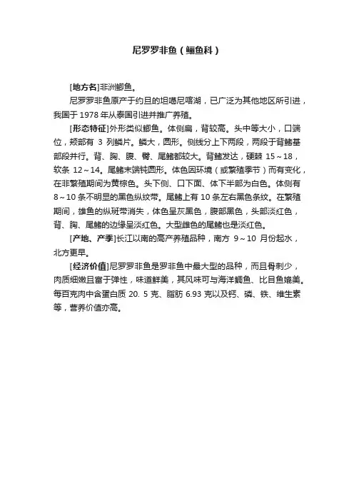 尼罗罗非鱼（鲡鱼科）